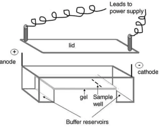 Figure 11. Instrumental set-up for AGE 54