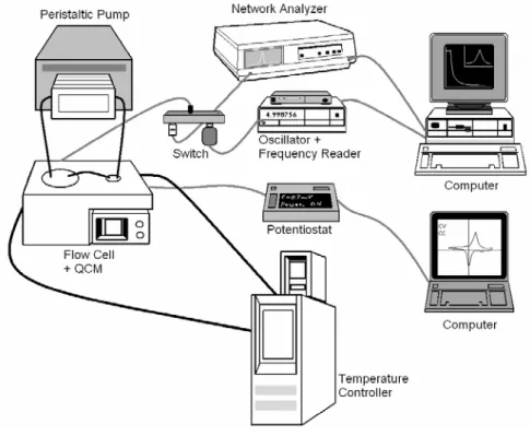 Figure 2.5. Experimental set-up of the 5 MHz quartz crystal microbalance system. Dark lines represent liquid  flow tubes and gray lines are electrical connections