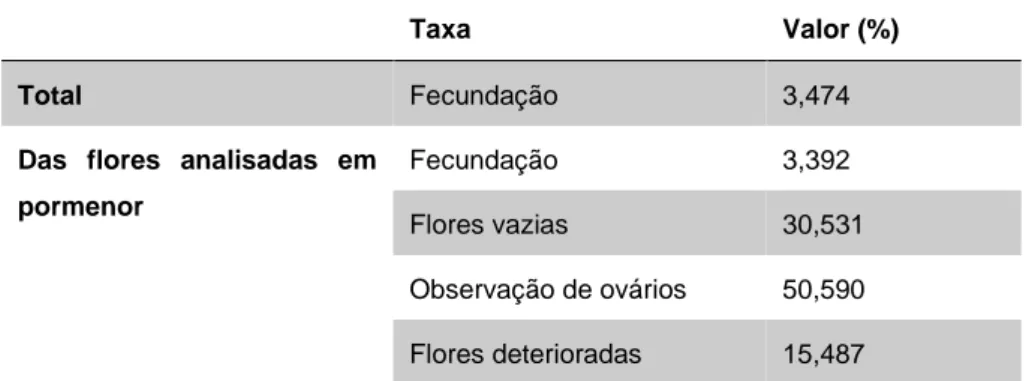 Tabela 3-IV Dados percentuais das taxas de fecundação de Armeria berlengensis, no total e das taxas  de  fecundação,  flores  vazias,  observação  de  ovários  e  flores  deterioradas  de  19  infrutescências  estudadas em pormenor