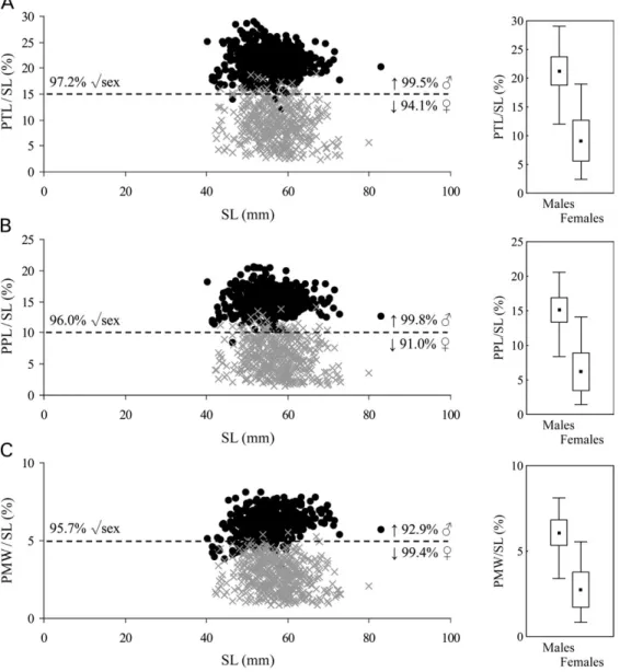 Table 2. Estimated parameters of the allometric relationships established between penis dimensions (PTL, PPL and PMW) and shell length (SL) of males and imposex-affected females of Hexaplex (Trunculariopsis) trunculus.