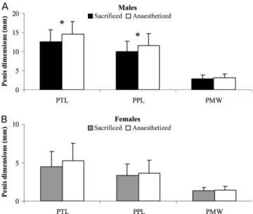 Table 3. Correct sexual identiﬁcations of males and imposex-affected females obtained through the application of sexual indices to 100 specimens of Hexaplex (Trunculariopsis) trunculus that were anaesthetized and subsequently sacriﬁced.