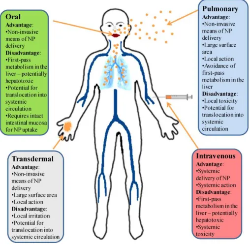 Figure 1.2: Routes of administration of nanoparticles: advantages and disadvantages [9] 