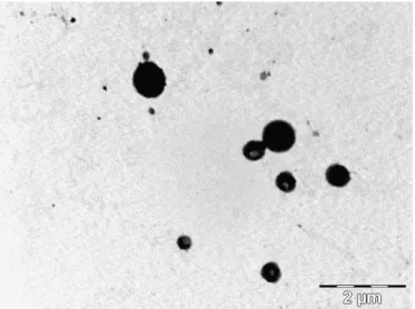Figure 5.1- TEM microphotograph of representative A-LBG/S-LBG nanoparticles.  