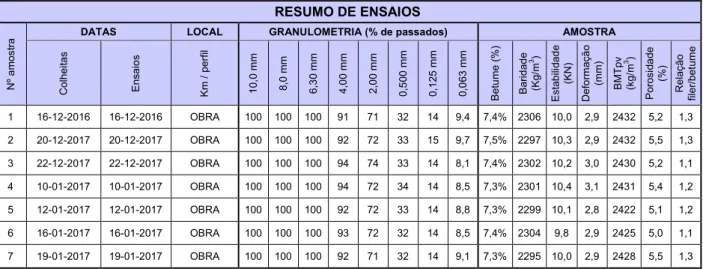 Figura 8 – Conclusão dos trabalhos de aplicação de mistura betuminosa colorida