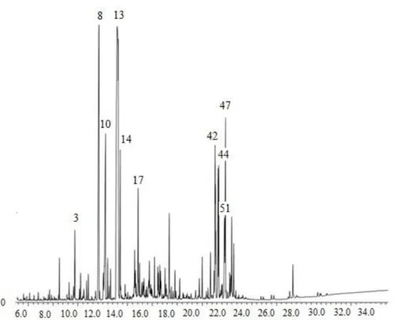 Figure 4.2 GC chromatogram of P. anisum L., seeds picked in southern Portugal. 