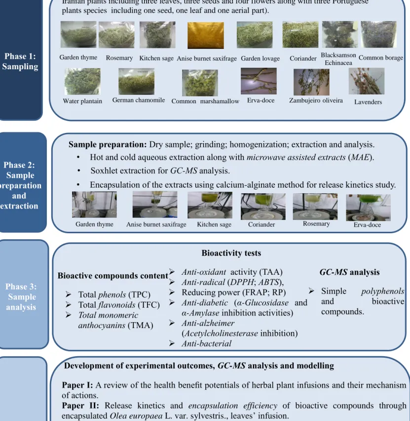 Figure 1.1 Work plan performed through the development of this research.  8 Phase‎1: 