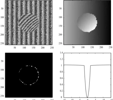 Fig. 10. (a) Wrapped phase image corresponding to an original phase surface given by a kind of cylinder upon a ramp