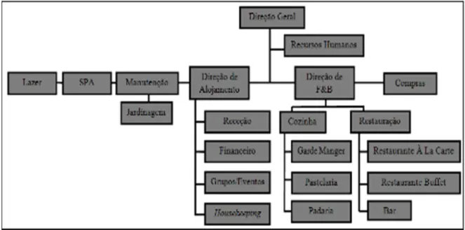 Figura 6 - Organograma da Laguna Beach