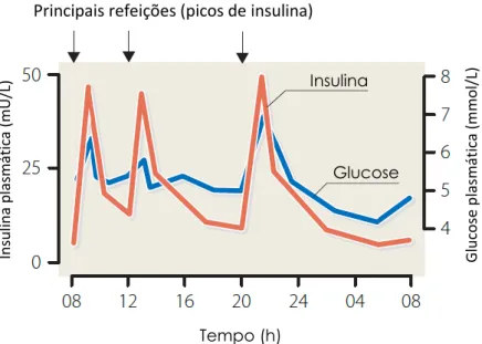 Figura 4.3: Gráfico representativo dos perfis da concentração de glucose e insulina, ao  longo do dia, em indivíduos não diabéticos (Bilous e Donnelly, 2010c)