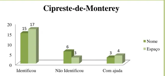 Figura 3.9 - Representação gráfica dos dados relativos à identificação do Cipreste-de-Monterey e da localização  no jardim (mata)