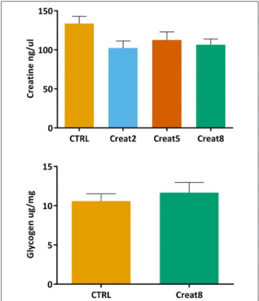 FIGURE 4 | Creatine (ng/µl) concentration in muscle and glycogen (µg/mg) concentration of lyophilized muscle of gilthead seabream after 69 days of trial.