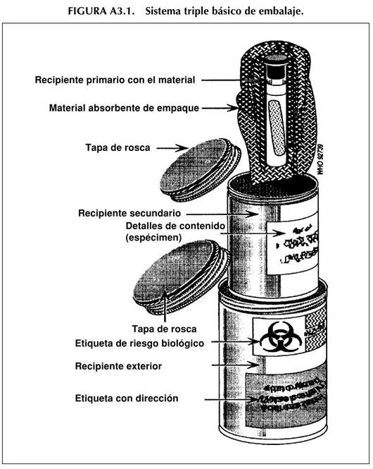 FIGURA A3.1. Sistema triple básico de embalaje.