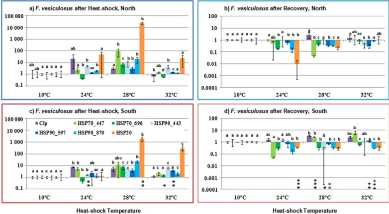 Fig 3. Gene expression temperature response of Fucus vesiculosus. Expression of seven heat shock transcripts in response to control (10˚C) and elevated seawater temperatures (24, 28 and 32˚C), after 3h of HS and after recovery in the alga Fucus vesiculosus