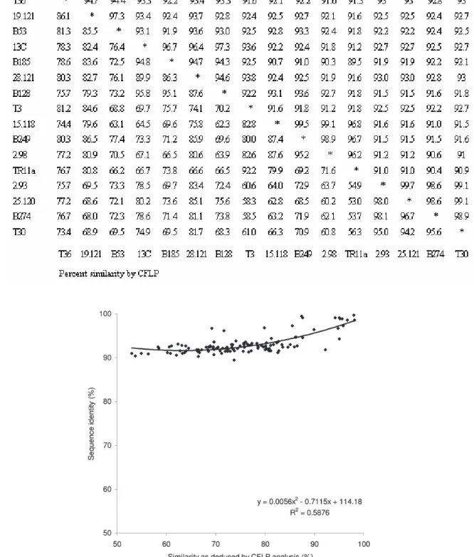 Table 3. Percent nucleotide identity obtained from sequence data (above diagonal) and percent similarities as esti- esti-mated by CFLP (below diagonal) of the 16 cloned standards of the coat protein gene.