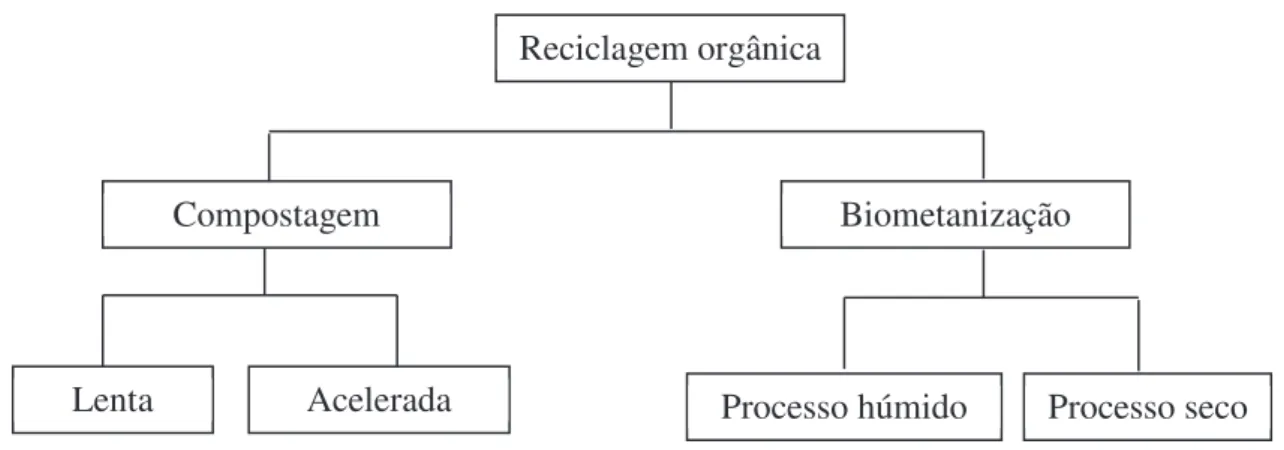 Figura 1 - Esquematização do processo de reciclagem orgânica (Martinho, M. &amp; Gonçalves,  M., 2000)