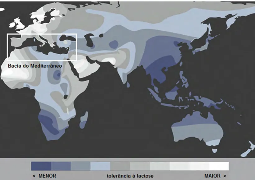 FIGURA 2   Variação geográfica da tolerância à lactose entre as populações humanas atuais  do Velho Mundo (base cartográfica retirada e adaptada de Leonardi et al., 2012: fig