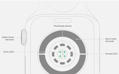 Figure 3.8: Apple Watch Series 4 back wireframe components displaying ECG and PPG sensors used to measure heart rate, where the Digital Crown electrode works with the back crystal electrode and photodiode sensors work with green LEDs and infrared LEDs