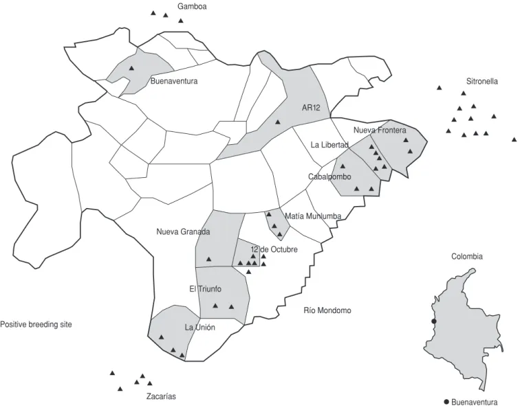 FIGURE 1. Distribution of breeding sites found positive for immature anopheline forms in urban Buenaventura and neighboring areas