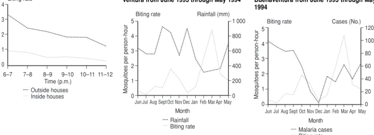 FIGURE 5. Fluctuations in Anopheles albi- albi-manus biting activity (intradomiciliary and peridomiciliary data combined) compared to monthly malaria cases recorded in urban Buenaventura from June 1993 through May 1994