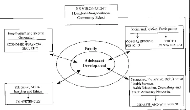 Figure 1 diagrams the conceptual framework of these developmental needs and identifies the four key elements:  employment and income generation; education and skills-building; social and political participation; and health and well-being