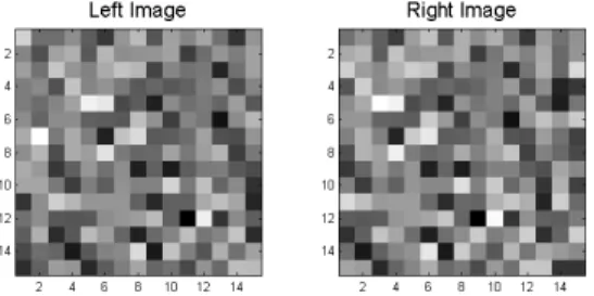 Fig. 1. Example of a 15×15 random-dot stereogram used in the training phase, with a uniform 2-pixel shift and thus horizontal disparity ∆x = 2.