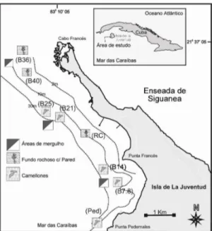 Figura  3  –  Mapa  da  área  marinha  protegida  de  Punta  Francés.  Batimétricas,  pontos  de  mergulho  e  localização dos habitats amostrados (Pared e Camellones)