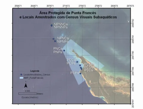 Figura  5  –  Pormenor  da  Área  Marinha  Protegida  de  Punta  Francés,  áreas  adjacentes  e  locais  amostrados  com censos visuais subaquáticos