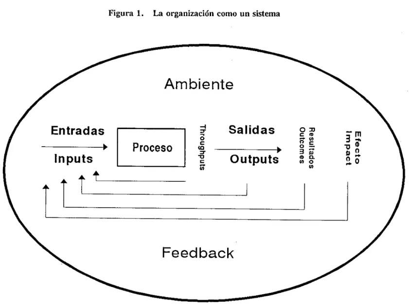 Figura 1. La organización como un sistema
