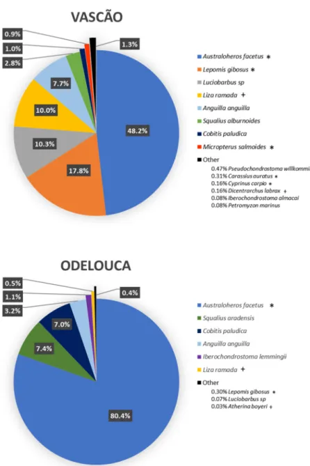 Figure 2. Relative abundance of fish species in the Vascão and Odelouca selected sites