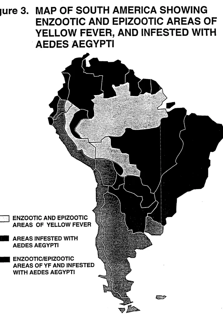 Figure 3.  MAP  OF SOUTH  AMERICA  SHOWING ENZOOTIC  AND  EPIZOOTIC  AREAS  OF YELLOW FEVER,  AND  INFESTED  WITH AEDES  AEGYPTI