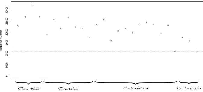 Figure 3.5 - Sequence number for all samples after singleton exclusion. The light grey  line  shows  the  normalization  threshold  value  (11,203  sequences)  used  in  downstream  alpha and beta diversity analyses