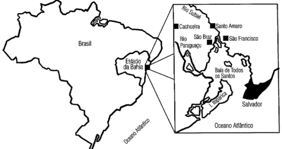 FIGURA  1.  Mapa do Brasil mostrando o Estado da  Bahia e a localiza@io de Santo Amaro 