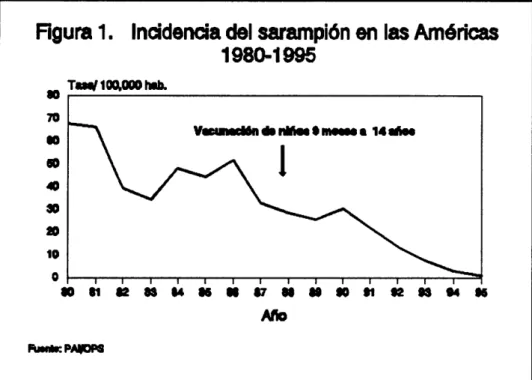 Figura 1. Incidenciadel sarampiónen las Américas 1980-1995 T_/Im,_ I_. 8O 7O M W m 1O 0 