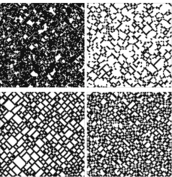 Fig. 9. Equilibrium states on von Neumann grids for the Snowdrift with S = 0.6 e T = 1.7 (left column) and S = 0.2 e T = 1.2 (right column)