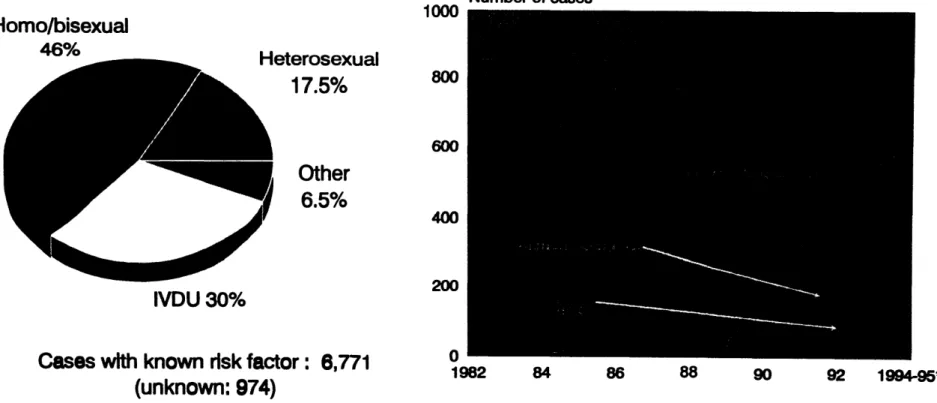 Fig. 3b. Distribution of AIDS cases by risk factors as of March 1996, Southern Cone