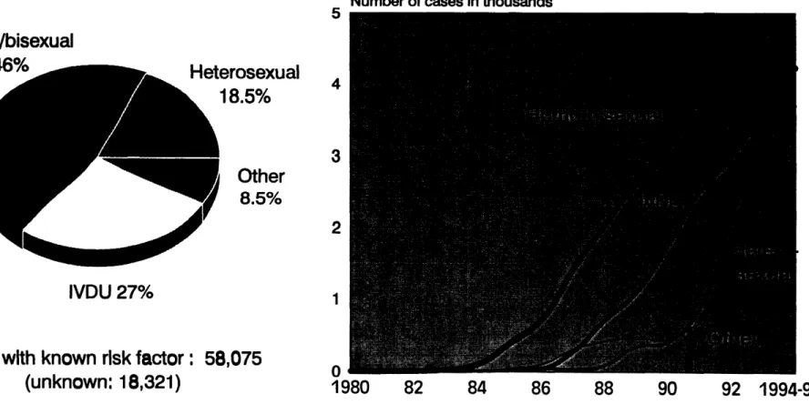 Fig. 3c. Distribution of AIDS cases by risk factors as of March 1996, Brazil