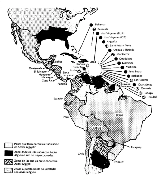 Figura 1. ESTADO DE LA CAMPAÑA DE ERRADICACIÓN DE AEDES AEGYPTI, ABRIL DE 1962