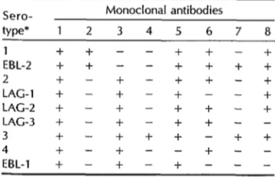 Table  1.  Reactivity  patterns  obtained  with  a  panel  of  monoclonal  antibodies  used  to  distinguish  classic  rabies  virus  from  related  Lyssavirus  serotypes