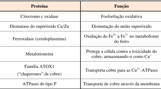 Tabela 2.1 - Proteínas de cobre e respetivas funções (adaptada de Fraústo da Silva et al,  2011)