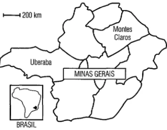 FIGURA  1.  Mapa do Estado de Minas Gerais,  apresentando as divisóes administrativas da  Fundacáo Nacional de Saúde dando destaque aos  distritos de Montes Claros e Uberaba 