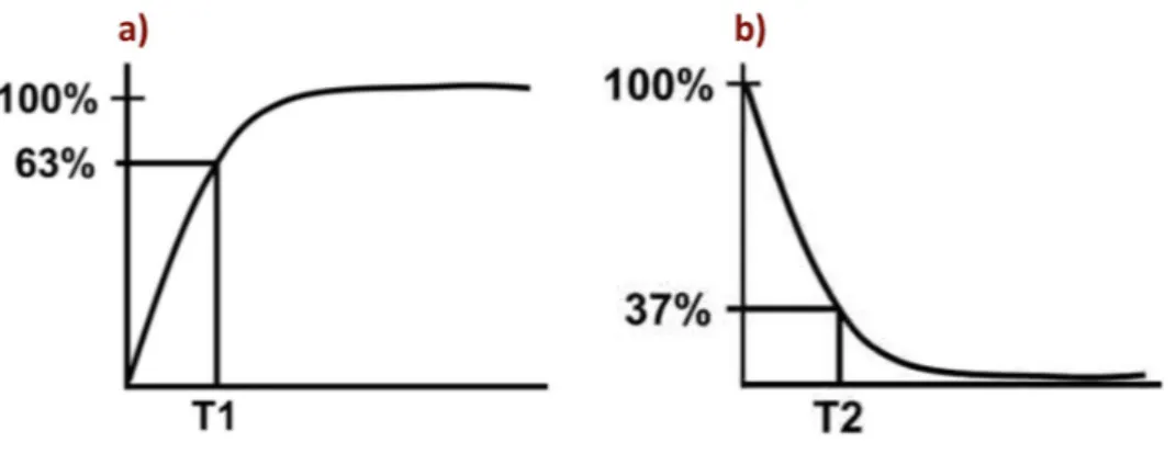 Fig. 2.5 – Representation of T1 and T2 curves. a) T1 characteristic of tissue, consisting of the time  it takes for longitudinal magnetization to recover to 63%