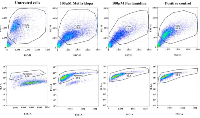Figure  3.7  –  Apoptosis  assay  on  H3  human  melanoma  metastasis  cell  line.  Represented  above  (first  row)  is  a  linear  forward-scatter  vs
