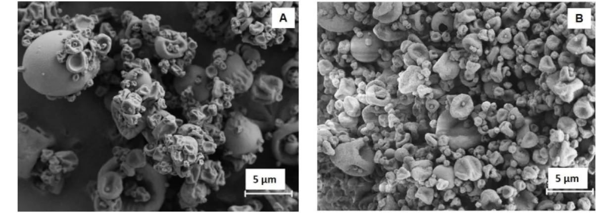 Figure  1.  Microphotographs  of  LBG-based  microparticles  viewed  by  scanning  383 