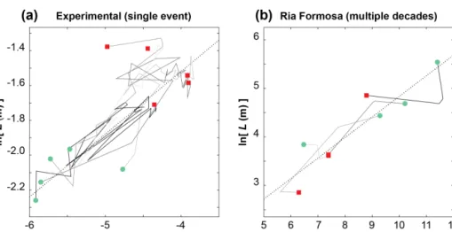 Figure 5. Dynamic allometry in a sample of individual washovers (a) tracked during the physical experimental trials, representing a single forcing event (n = 5) and (b) identified in the four decades of aerial photographs from Ria Formosa (n = 4)