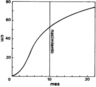 Gráfico 3. Curva de velocidad de crecimiento en estatura antes y después del nacimiento