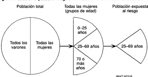 Fig. 2.1. Población expuesta al riesgo en un estudio de carcinoma de cuello uterino  Población total  Todas las mujeres 