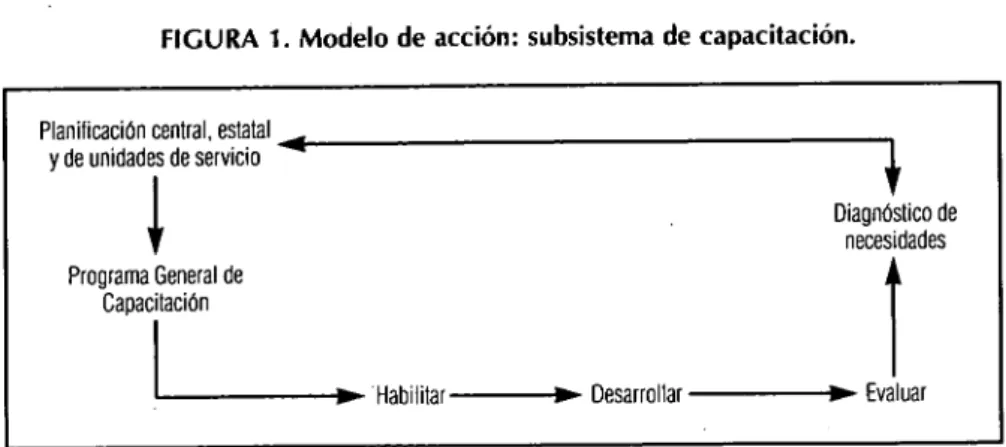 FIGURA 1. Modelo de acción: subsistema de capacitación. 