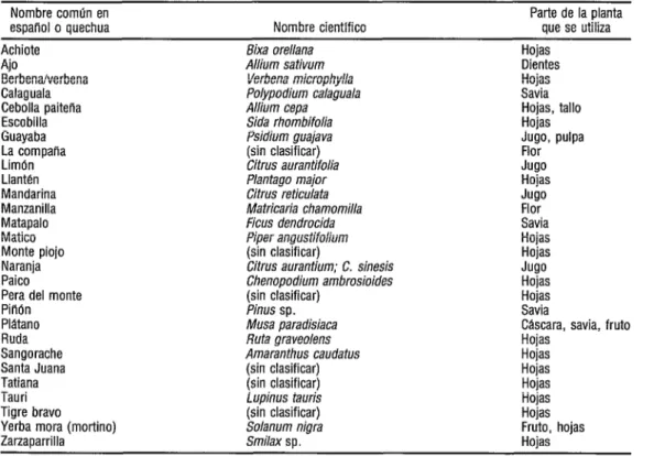 CUADRO 3.  Inventario parcial de plantas que las personas entrevistadas identificaron como  tratamientos para la leishmaniasís cutllnea 