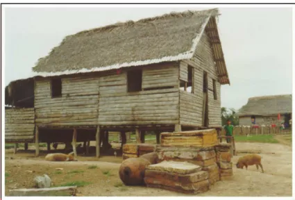 FIGURA 5 - Casa típica de seringueiro na Reserva Extrativista Chico Mendes (Acre, Brasil).