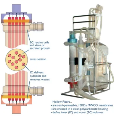 Figure 20 Basic hollow fibre bioreactor design and the HF Primer™ small-scale bioreactor (Hirschel et al., 2011)